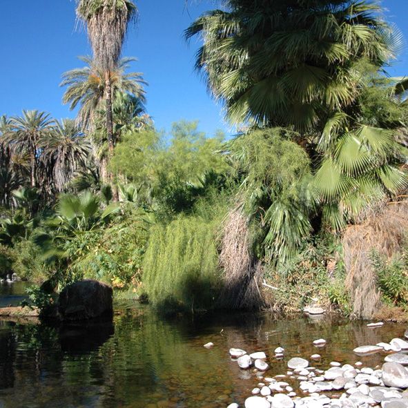 Explorar el desierte – BAJA CALIFORNIA, MARAVILLAS NATURALES